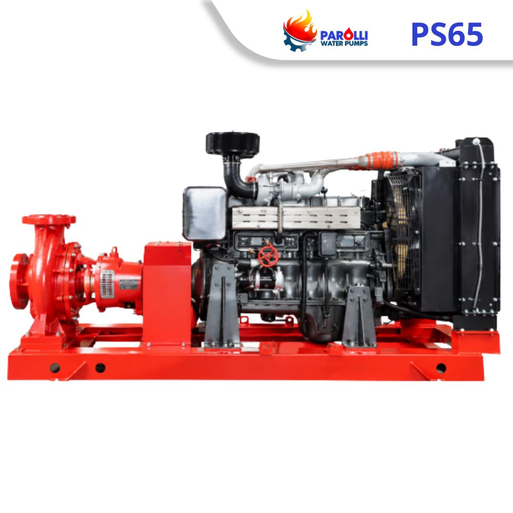 Máy bơm chữa cháy đầu hút cuối rời trục chạy dầu PS65 1.1–90kW - Ảnh 2