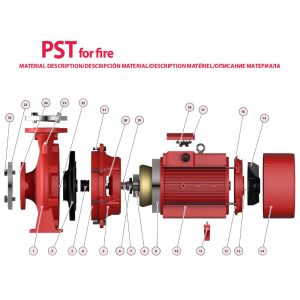 PST