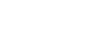 logo parolli